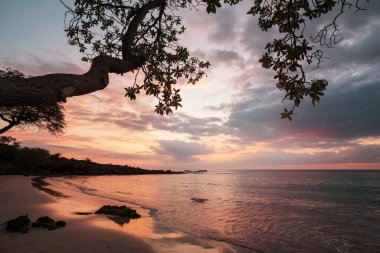 Tropikal sahildeki güzel yaz manzaraları. Tatil arkaplanı.