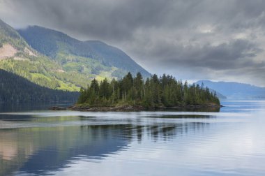 Vancouver Adası, British Columbia, Kanada