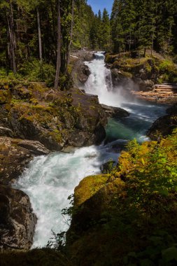 Waterfall at Mount Rainier National Park, Washington, USA