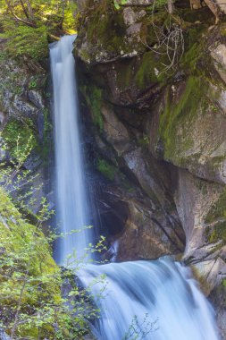 Galacier Ulusal Parkı 'ndaki Şelale, Montana, ABD. Sonbahar mevsimi.