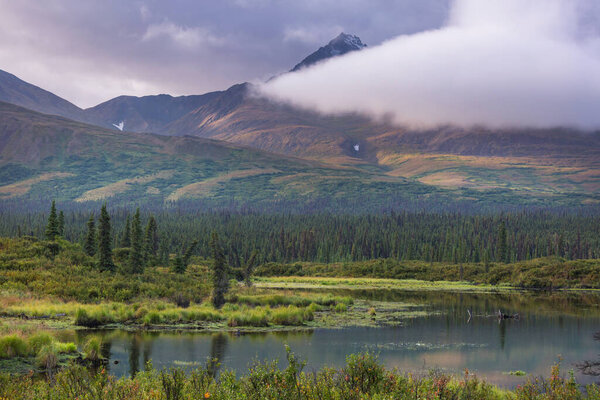 Озеро спокойствия в тундре на Аляске