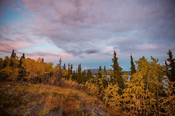 Autumn Season Mountains Colorful Natural Background — 스톡 사진