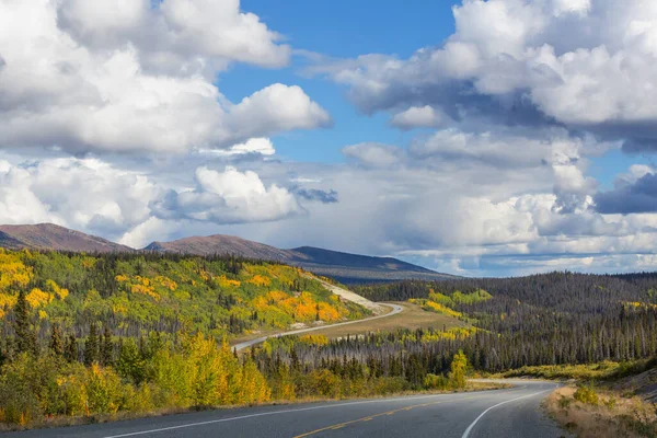 Colorata Scena Autunnale Sulla Strada Campagna Nella Foresta — Foto Stock