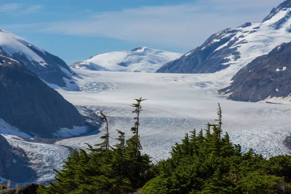 Παγετώνας Σολομού Στο Stewart Καναδάς — Φωτογραφία Αρχείου