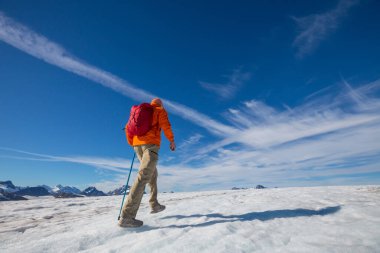 Yaz zamanı Alaska 'da yürüyüş
