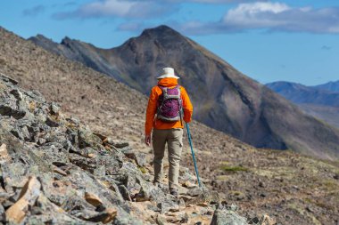 Kutup tundrasında yürüyüş