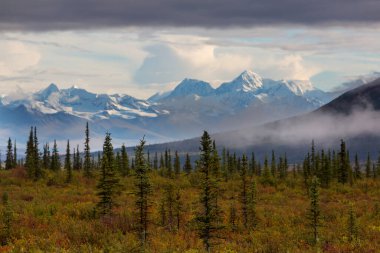 Picturesque Mountains of Alaska in autumn. Snow covered massifs, glaciers and rocky peaks, orange trees. Beautiful natural background.