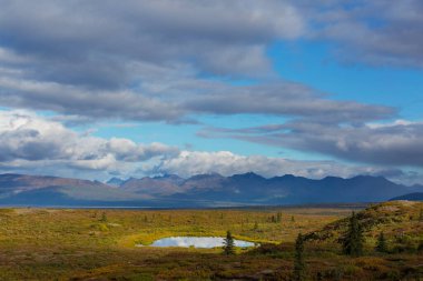 Tundra landscapes above Arctic circle in autumn season. Beautiful natural background.