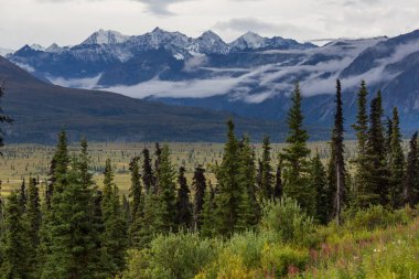 Yazın Alaska 'nın Picturesque Dağları. Kar, kütleleri, buzulları ve kayalık tepeleri kapladı. Güzel doğal arkaplan.