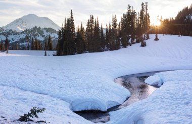 Mount Rainier Ulusal Parkı, Washington