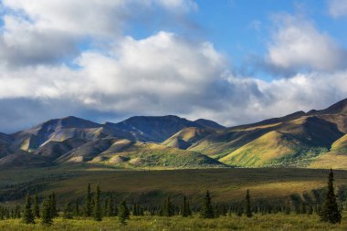 Kutup dairesinin üstündeki Tundra manzaraları