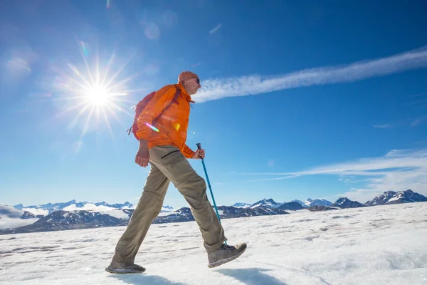 Wanderung Alaska Zur Sommerzeit — Stockfoto