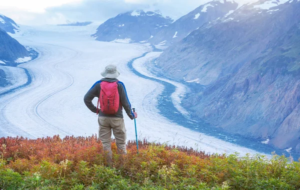 Caminhando Homem Nas Montanhas Canadenses Caminhada Atividade Recreação Popular América — Fotografia de Stock