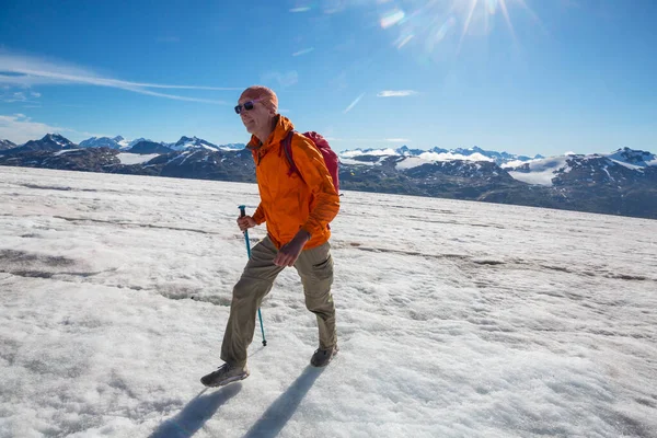 Turista Kanadských Horách Turistika Populární Rekreační Aktivita Severní Americe Spousta — Stock fotografie