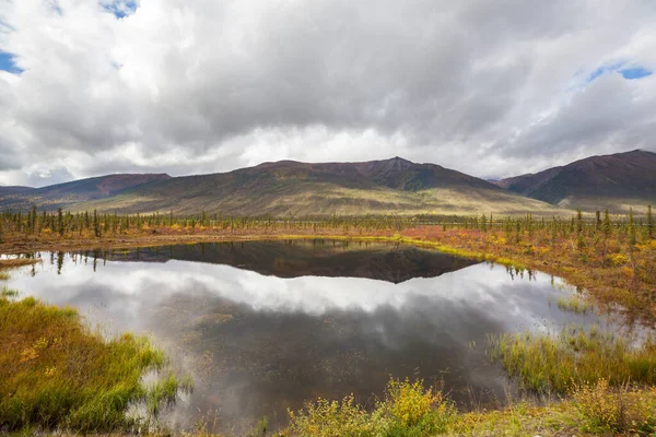 Tundra Landscapes Arctic Circle Autumn Season Beautiful Natural Background — стоковое фото