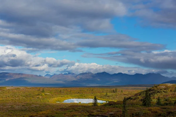 Tundra Landscapes Arctic Circle Autumn Season Beautiful Natural Background — Stockfoto