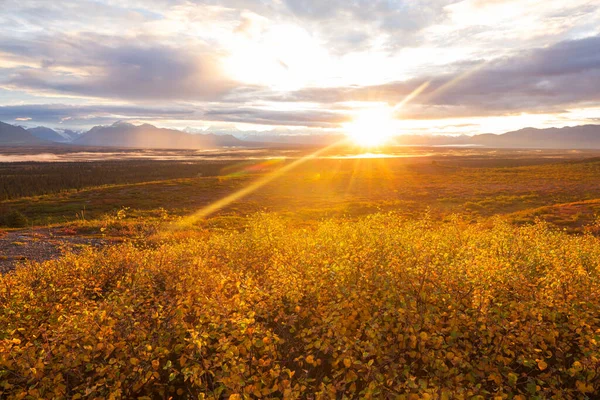 Tundra Landscapes Arctic Circle Autumn Season Beautiful Natural Background — стокове фото