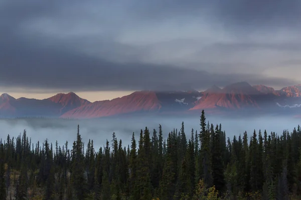 Прекрасная Утренняя Сцена Горах Туман Рассвете — стоковое фото