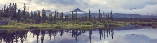 Serenity Lake Alaskan Tundra — Stock Photo, Image