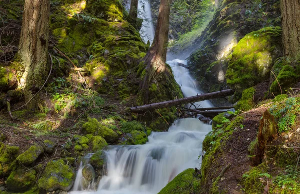 Hermosa Cascada Montañas Canadienses —  Fotos de Stock