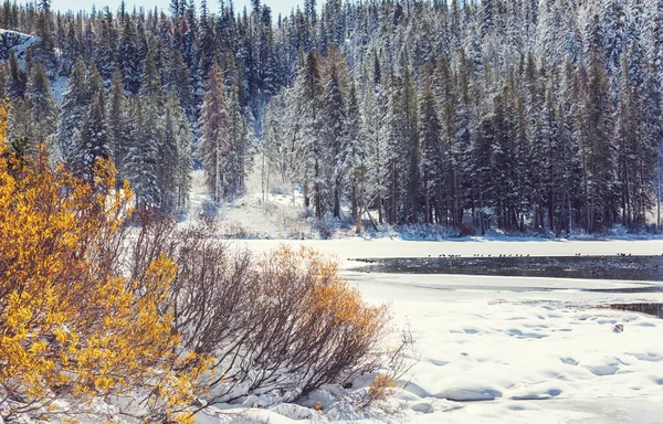 シエラネバダ山脈の景色 紅葉の風景 カリフォルニア アメリカ — ストック写真