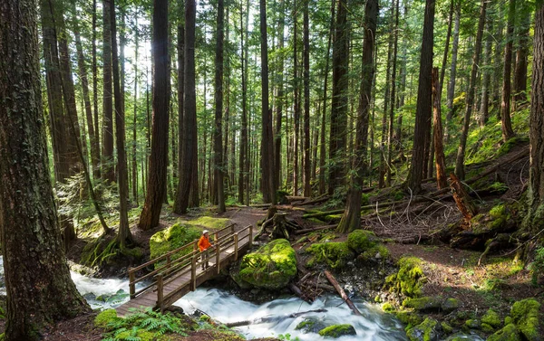 Senderista Cerca Hermosa Cascada Las Montañas Canadienses — Foto de Stock