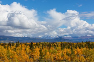 Kanada dağlarında güzel bir sonbahar mevsimi. Sonbahar arkaplanı.