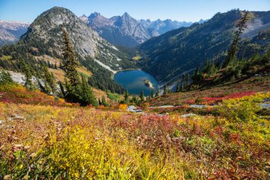 Dağlarda renkli sonbahar sezonu, Washington eyaleti, ABD