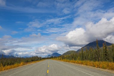 Ormanın kırsal kesiminde renkli sonbahar manzarası