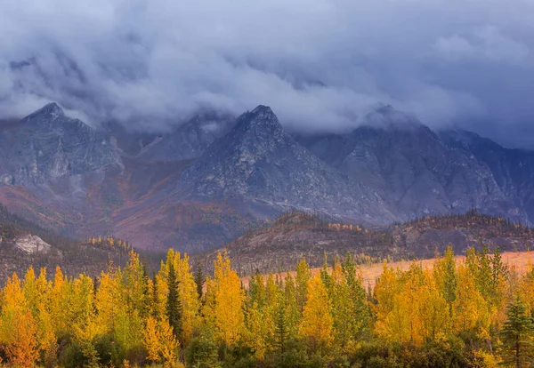 Prachtig Herfstseizoen Canadese Bergen Achtergrondinformatie — Stockfoto