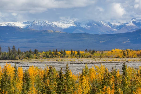 Schöne Herbstsaison Den Kanadischen Bergen Hintergrund Des Sturzes — Stockfoto