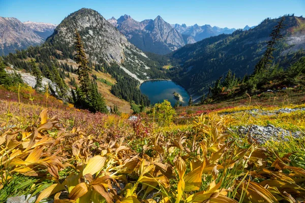 Temporada Outono Colorido Montanhas Estado Washington Eua — Fotografia de Stock