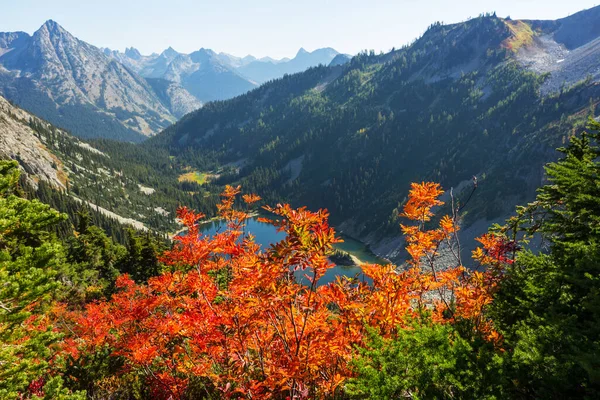 Colorida Temporada Otoño Las Montañas Estado Washington — Foto de Stock