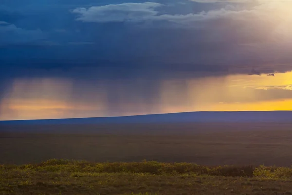 Déšť Při Západu Slunce Polární Tundře — Stock fotografie