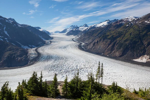 Salmon Glacier Stewart Canada — Stock Photo, Image