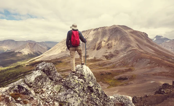 Caminhando Homem Nas Montanhas Canadenses Caminhada Atividade Recreação Popular América — Fotografia de Stock