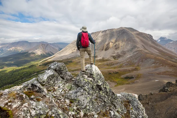 Caminhando Homem Nas Montanhas Canadenses Caminhada Atividade Recreação Popular América — Fotografia de Stock