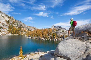Washington, ABD 'deki güzel Alp gölleri vahşi doğa alanı