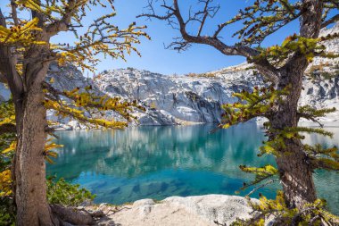 Washington, ABD 'deki güzel Alp gölleri vahşi doğa alanı