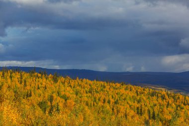Dağlarda renkli sonbahar sezonu, Washington eyaleti, ABD