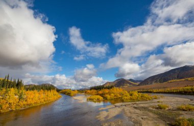 Tundra landscapes above Arctic circle in autumn season. Beautiful natural background.