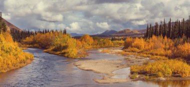 Tundra landscapes above Arctic circle in autumn season. Beautiful natural background.