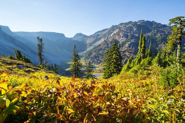 Färgglad Höstsäsong Berg Washington State Usa — Stockfoto