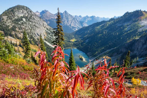 Barevná Podzimní Sezóna Horách Washington State Usa — Stock fotografie