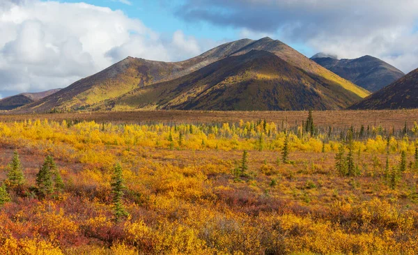 Tundra Landscapes Arctic Circle Autumn Season Beautiful Natural Background — стоковое фото