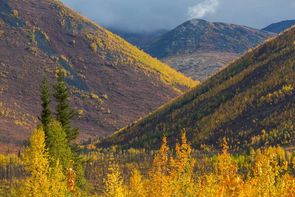 Tundra Landscapes Arctic Circle Autumn Season Beautiful Natural Background — Fotografia de Stock