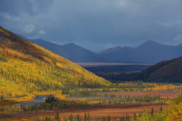 Tundra Landscapes Arctic Circle Autumn Season Beautiful Natural Background — Photo