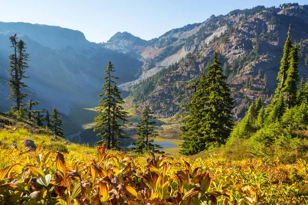 Autumn Season Mountains Colorful Natural Background — Foto Stock