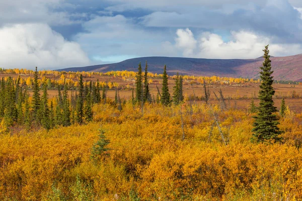 Tundra Landscapes Arctic Circle Autumn Season Beautiful Natural Background — Stock Fotó