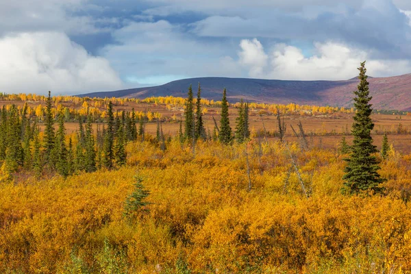 Tundra Landscapes Arctic Circle Autumn Season Beautiful Natural Background — Foto Stock